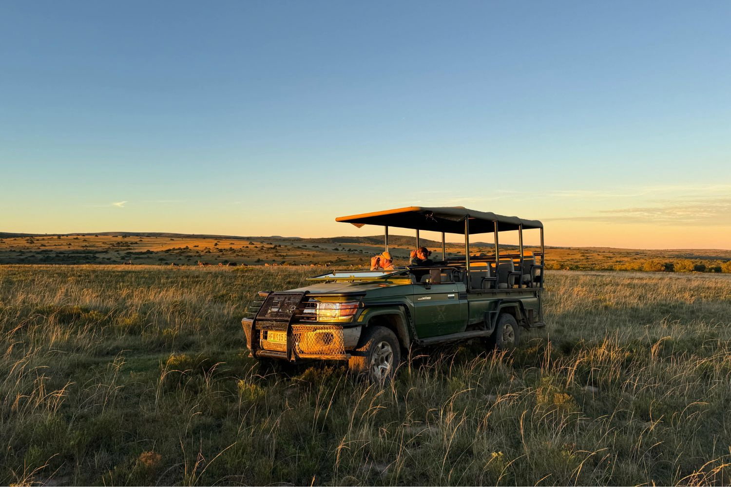A ranger with a volunteer on a safari vehicle in the African Bush in South Africa