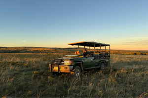 A ranger with a volunteer on a safari vehicle in the African Bush in South Africa