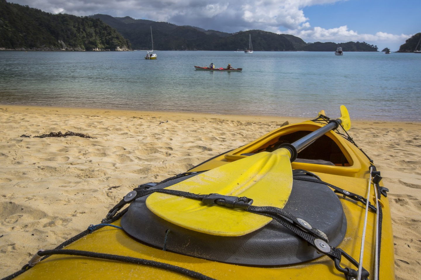 Explore the stunning bays and beaches of Abel Tasman National Park
