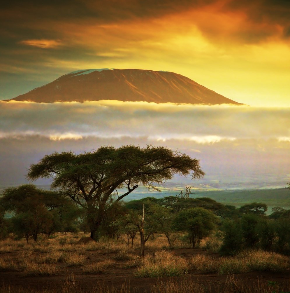 Mount Kilimanjaro at sunset with clouds near the base and a baobab tree