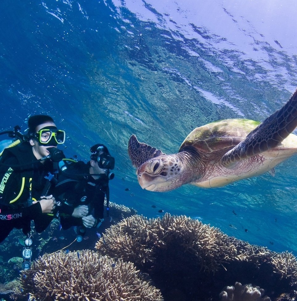 Great Barrier Reef Liveaboard Dive Trip