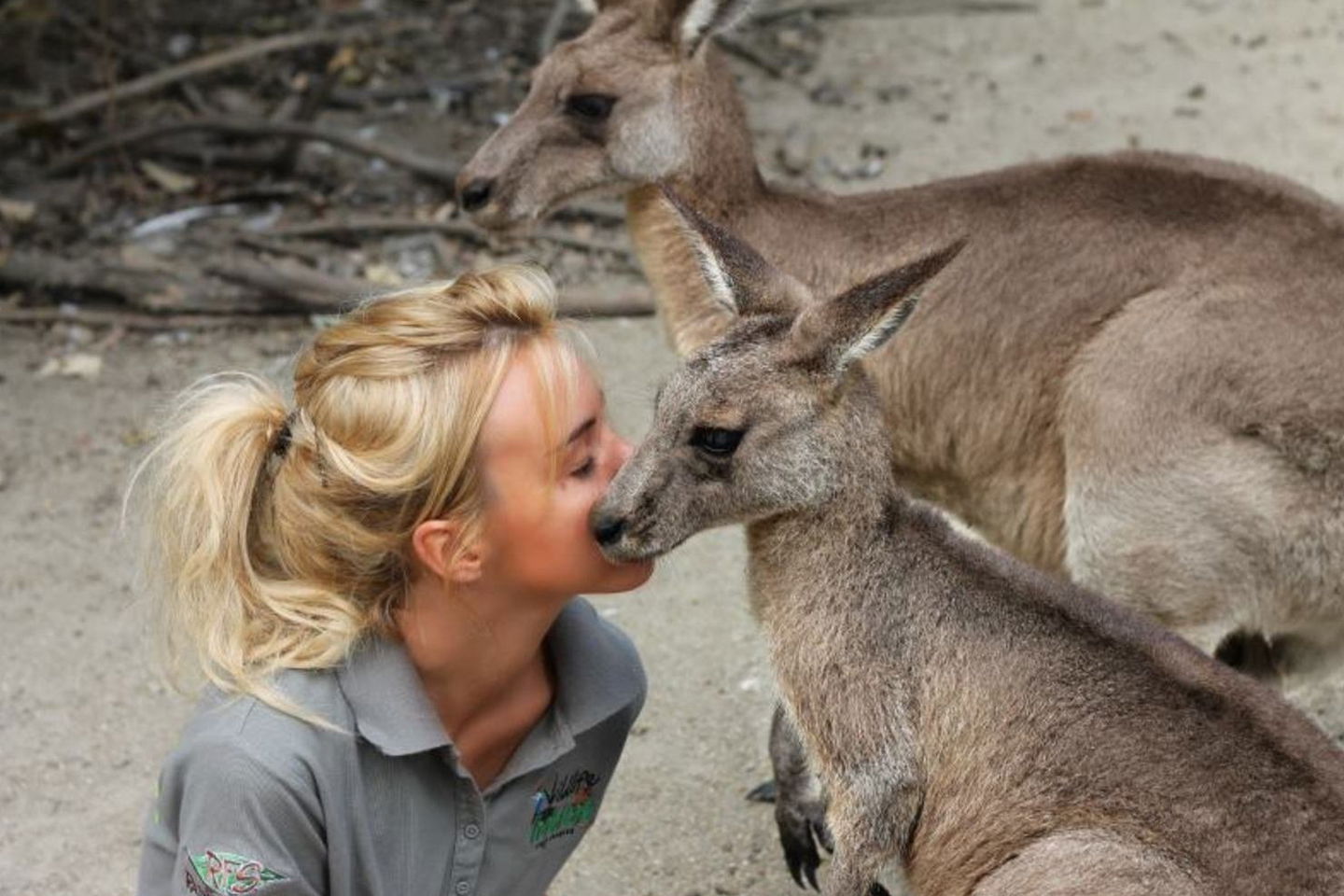 Interact with incredible Australian wildlife!