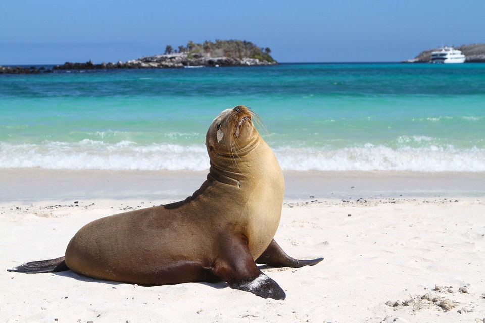 Relax on the beach with the locals in the Galapagos