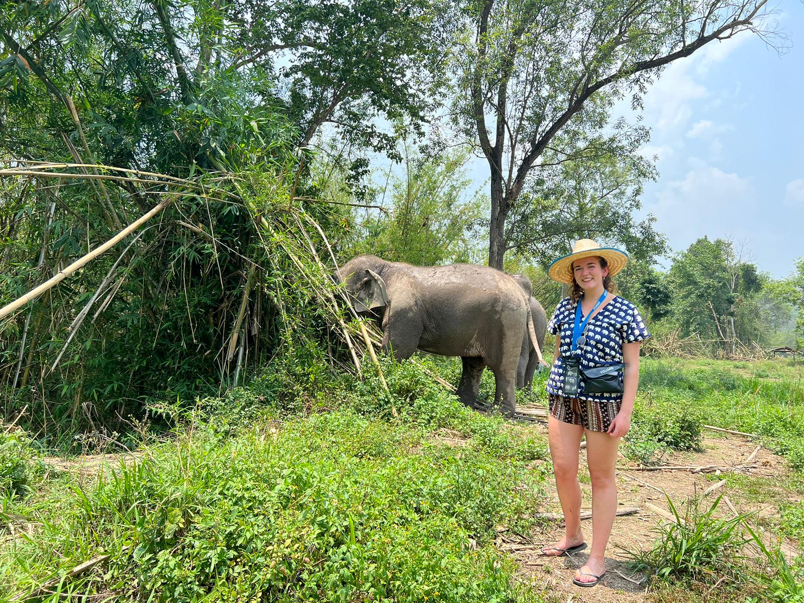 Traveller standing in front of Elephant in Elephant Sanctuary in Chiang Mai, Thailand