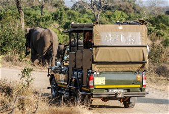 South Africa Safari Vehicle driving on road with elephants nearby
