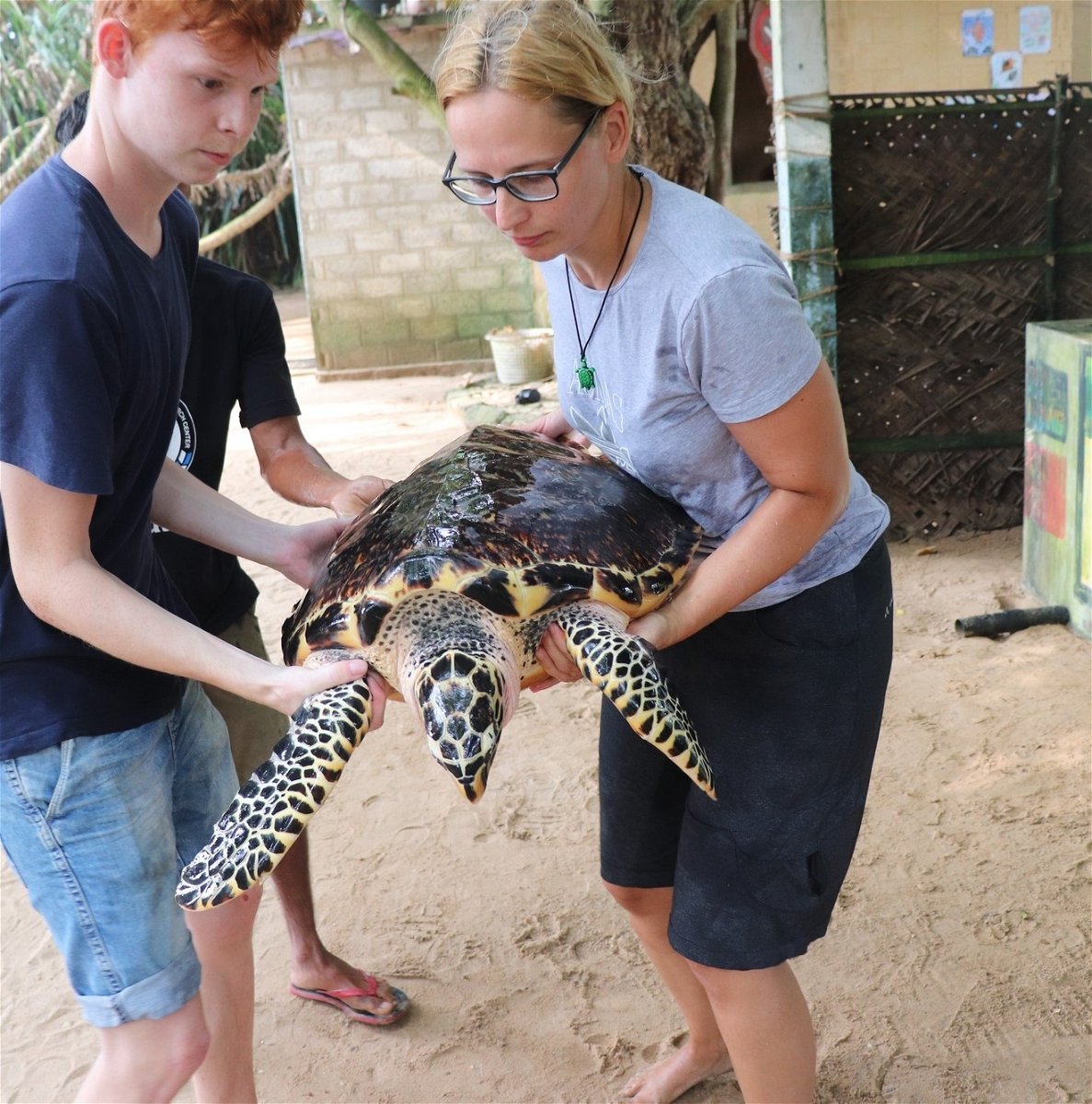 Sri Lanka Turtle Conservation