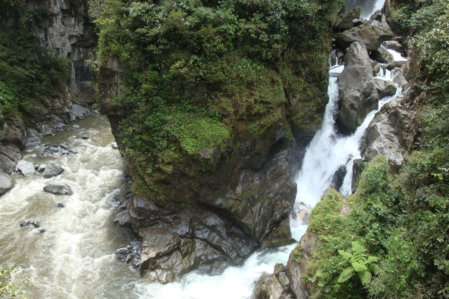 Explore the jungles of Ecuador!