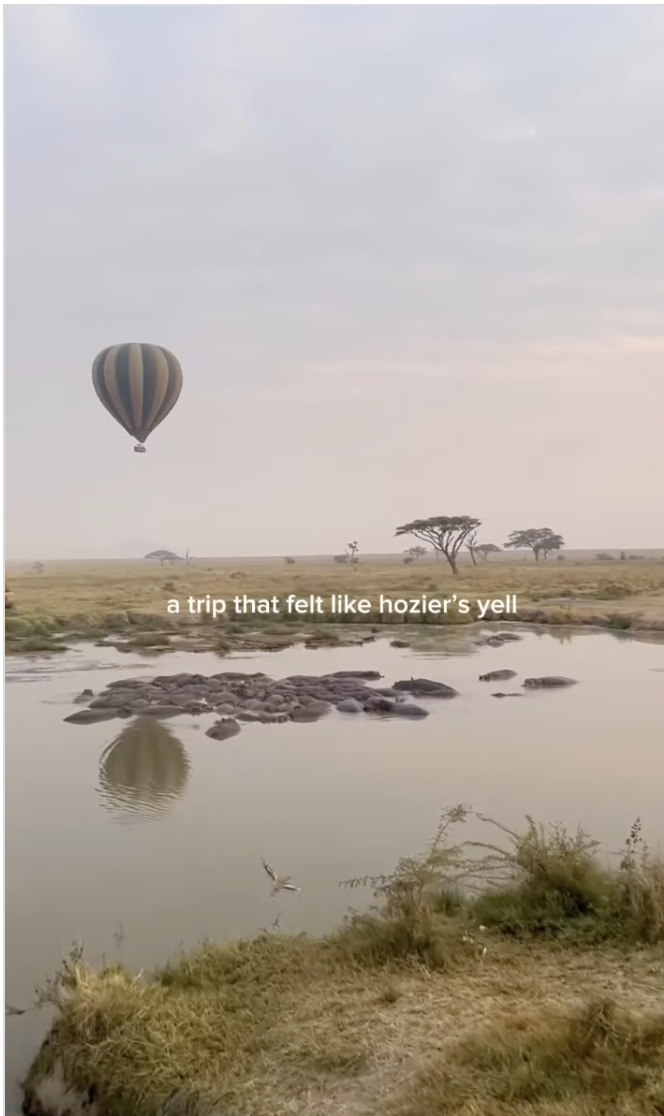 Hippos in river in Serengeti National Park with hot air balloon