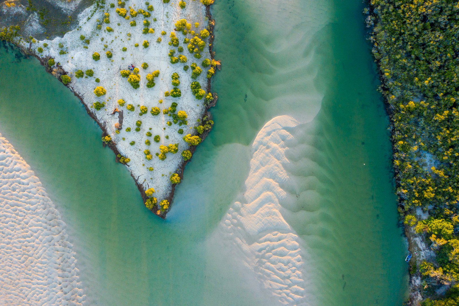 Aerial shot of swirling white sand, turquoise waters and sparse emerald trees with rocky borders