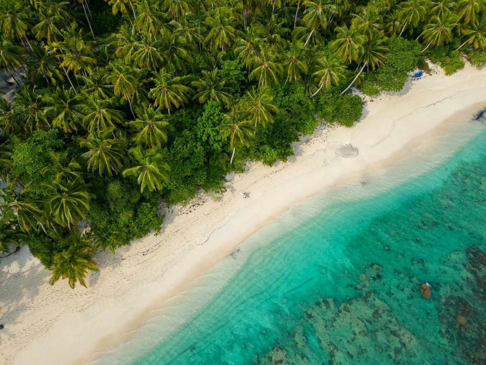 Aerial shot of secluded white sand with teal ocean and lush jungle with palm trees