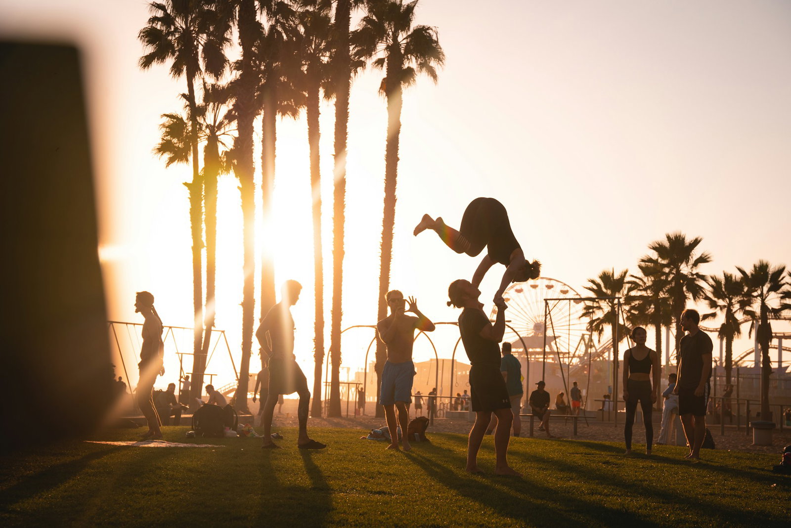 People hanging out on sunny park with palm trees, people are doing gymnastic tricks and standing around smiling