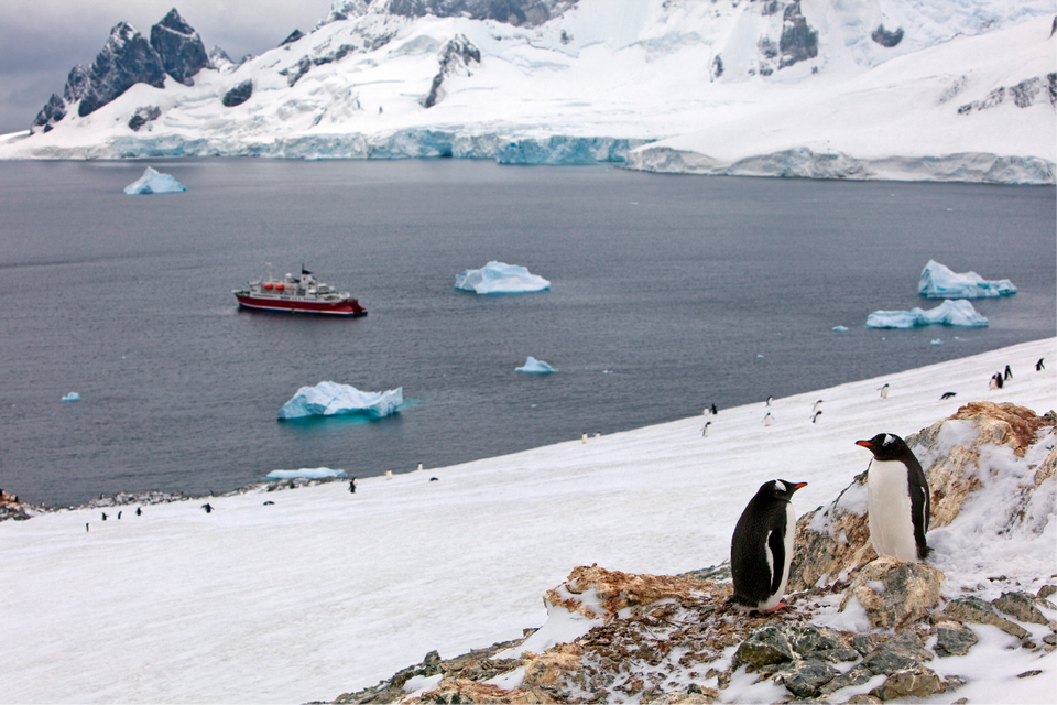 Penguins on iceberg in Antarctica with ship