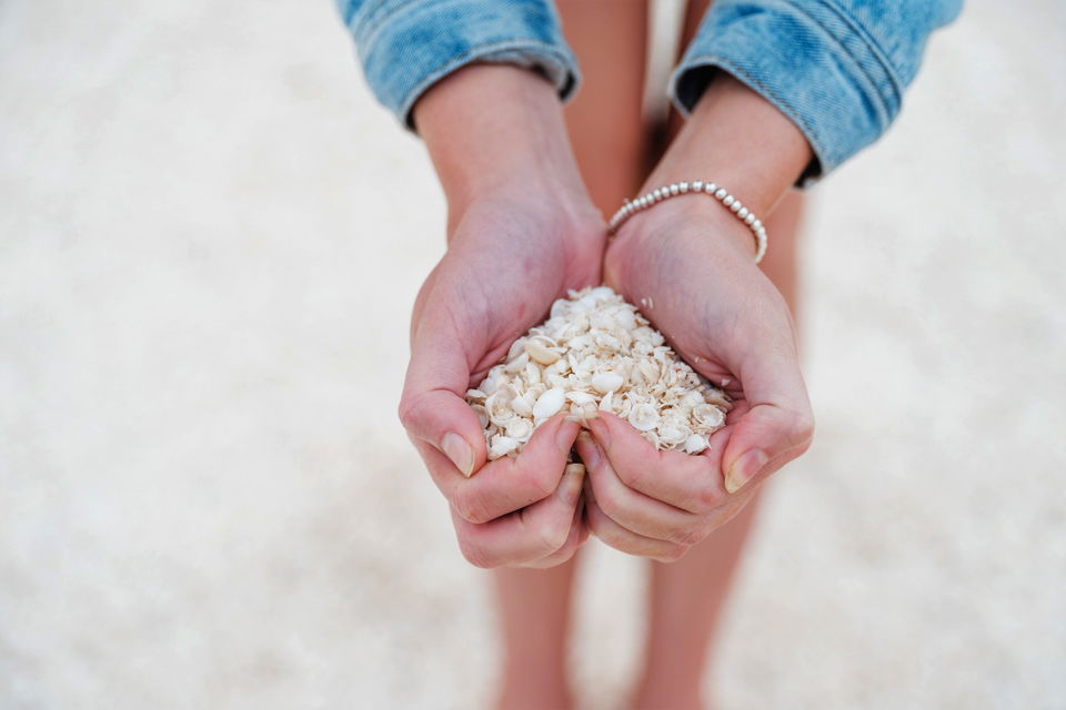 Travellers holding shells from Shell Beach in Western Australia
