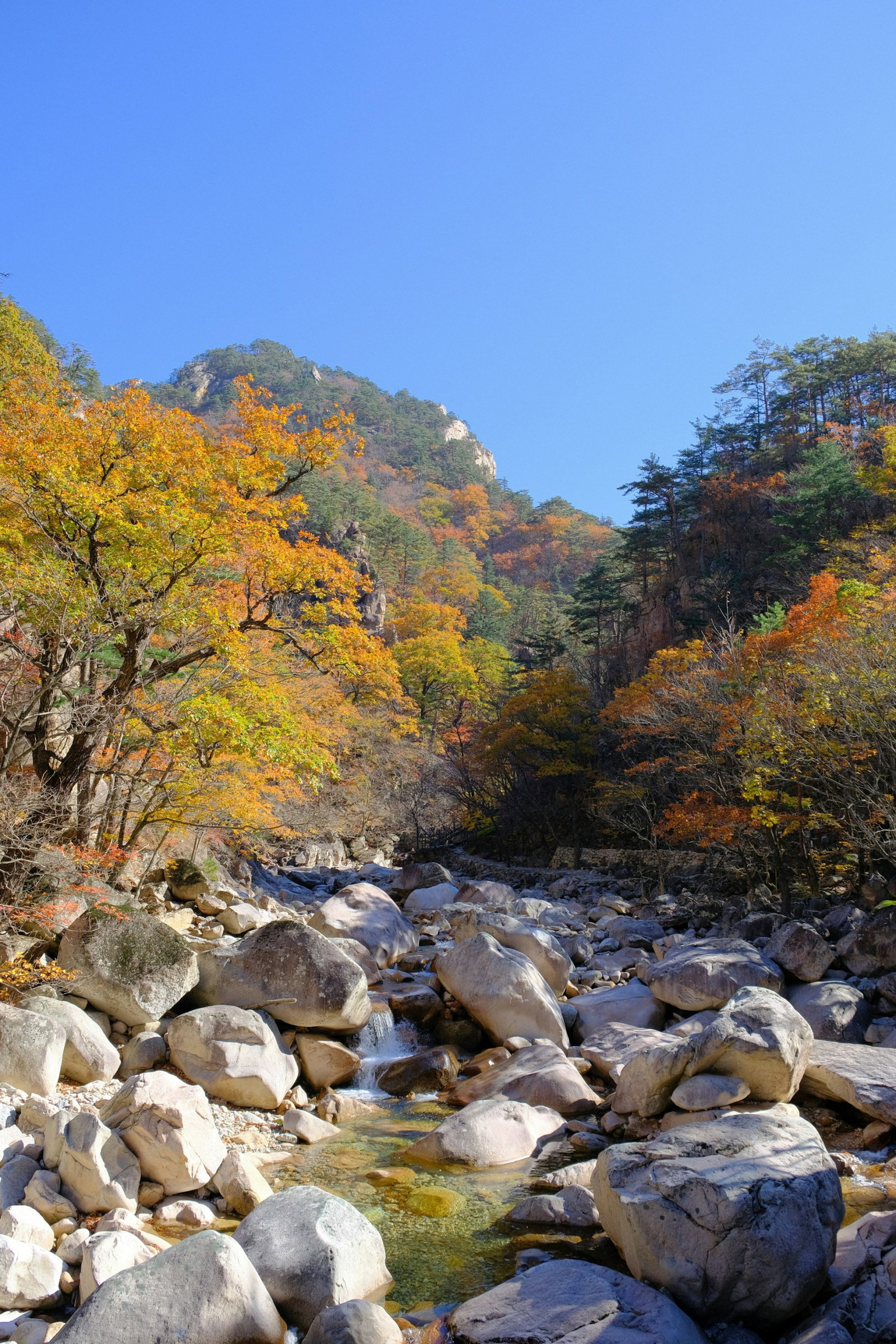 Giant rocks on river stream surrounded by autumn foliage and mountain in distance under clear blue sky