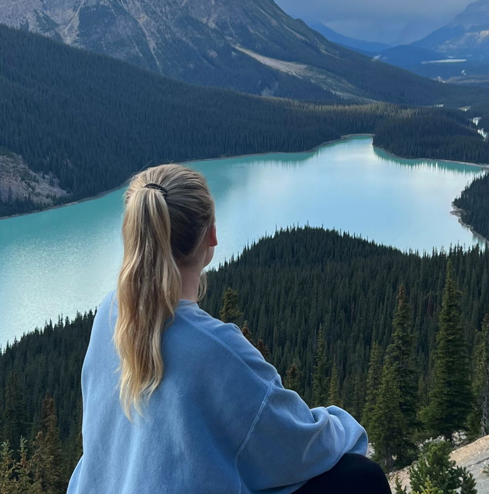 Traveller looking across Peyto Lake in Banff National Park in the Canadian Rockies