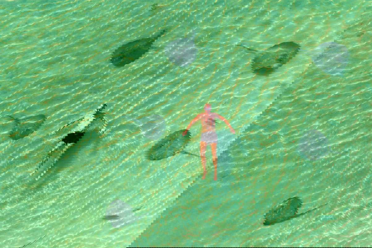 group traveller with stingray in belize