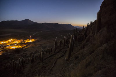 A cactus-lined hill overlooking Jukil Community Lodge in Bolivia