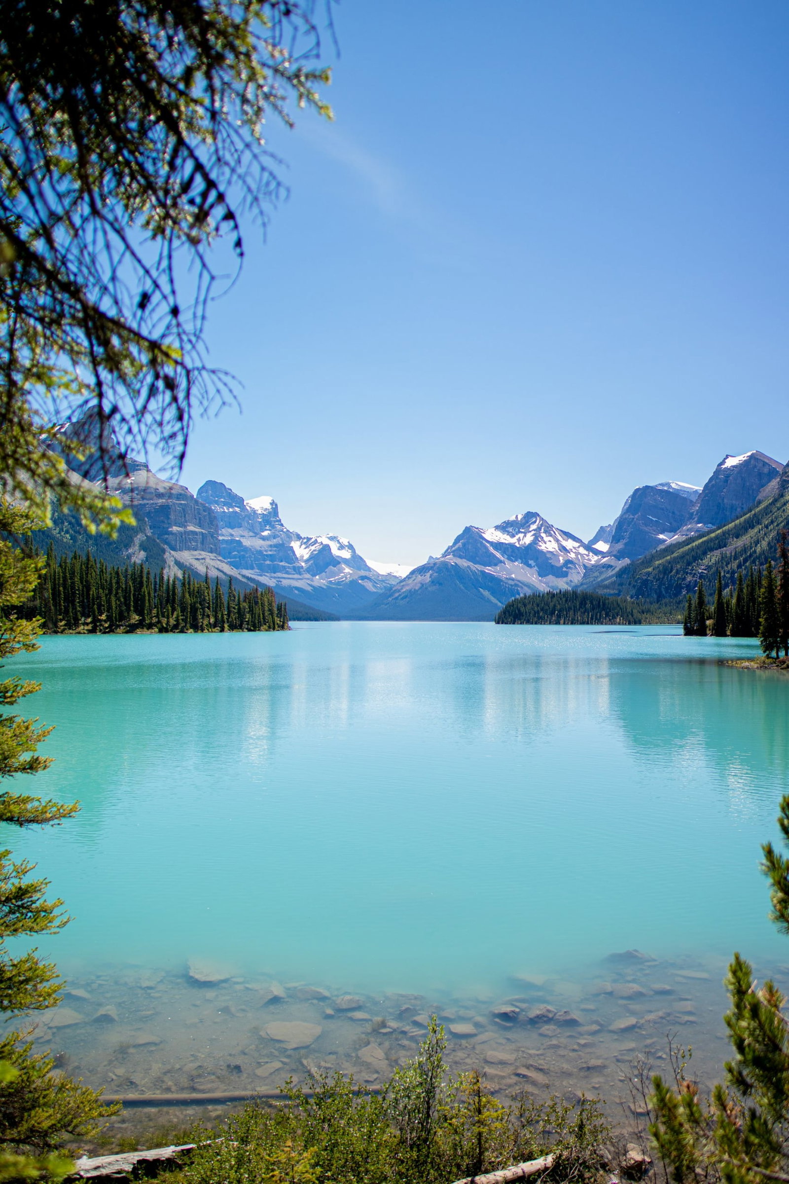 Stunning clear blue skies and bright aqua lake with forest stretches at the sides and snowy rocky mountains in distance