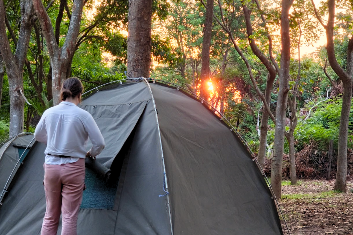 Traveller setting up their tent at sunset whilst camping in Tanzania