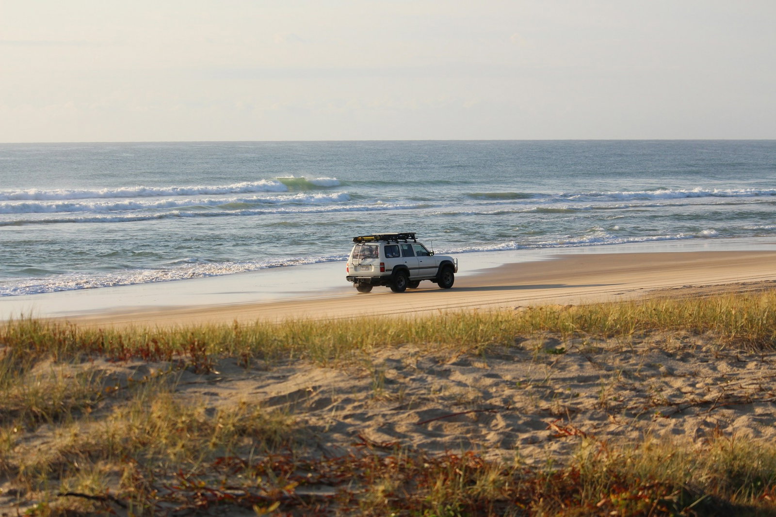 Car driving along the ocean by the waves on clear stretches of golden sand, near some grasslands, Australia