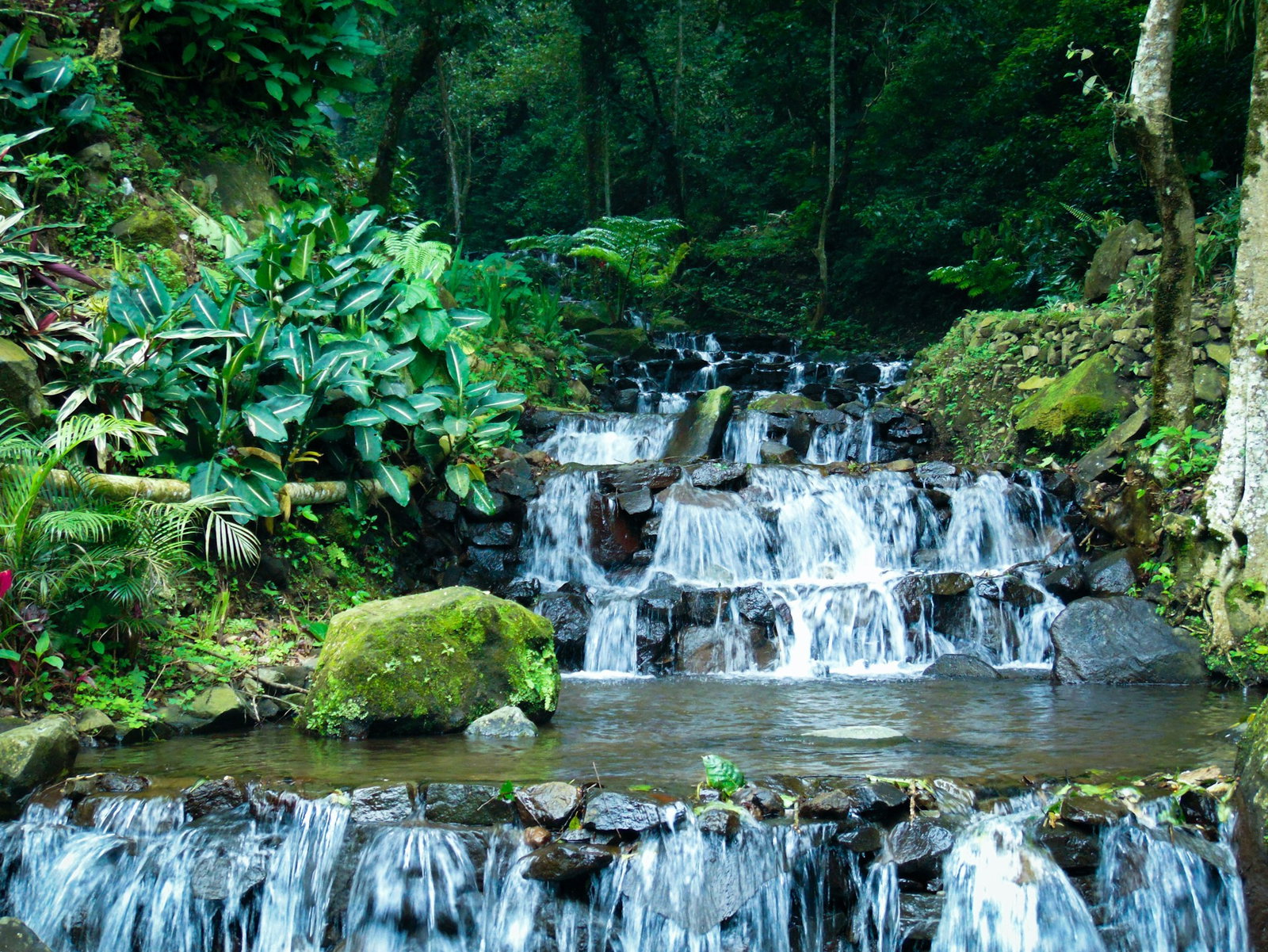 Cascading waterfall with mossy rocks and lush jungle