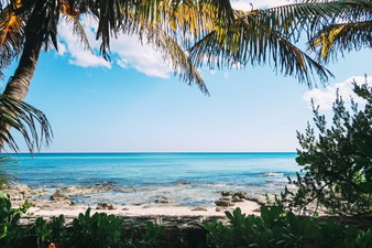 Mexico beach with palm trees and sandy beaches