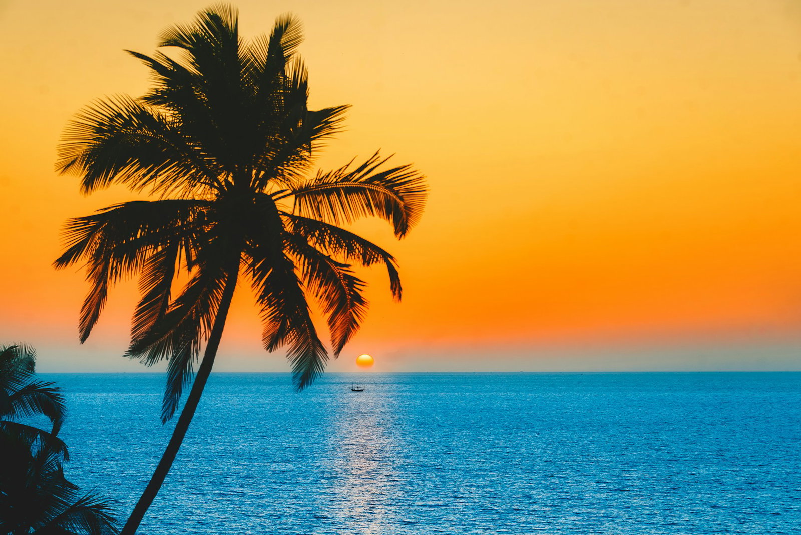 Bright orange sky with electric blue ocean with narrow sun and boat in distance, covered by a shaded palm tree in left, Goa