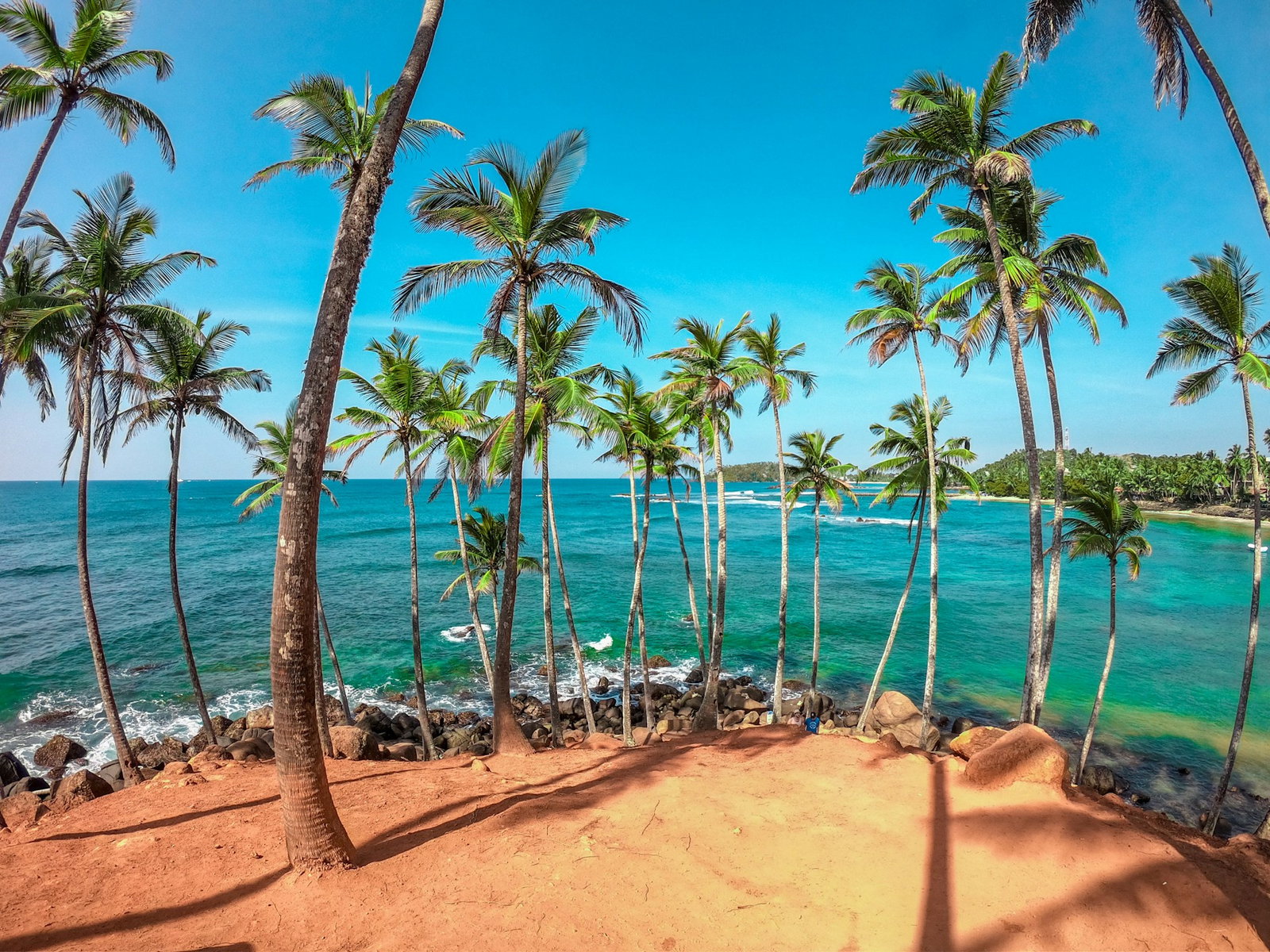 Burnt orange sand surrounded by tall palm tees leading into rocky beach and bright ocean with bright blue sky