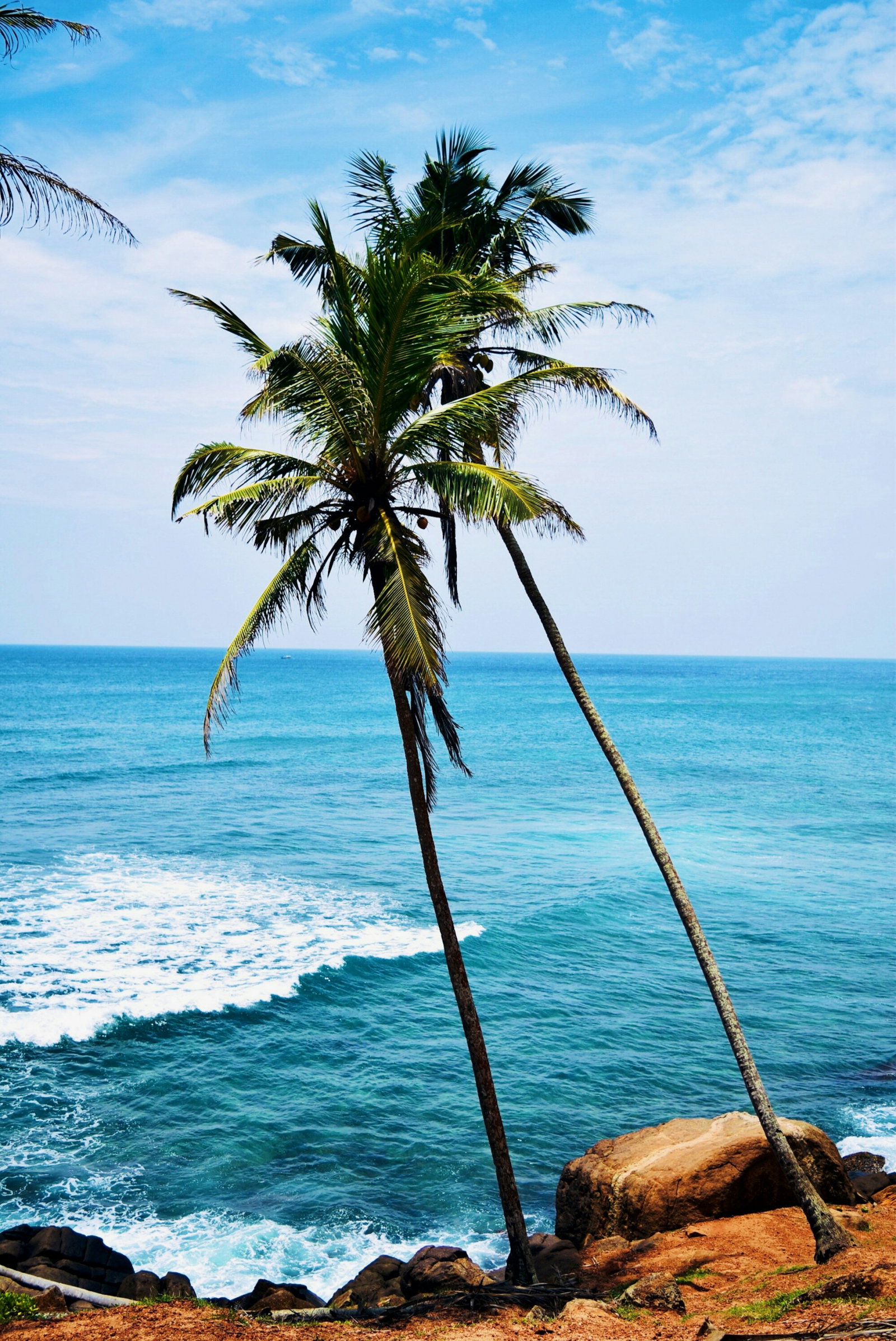 Leaning palm trees facing out onto sapphire ocean with gentle waves on a cloudy blue sky day with some rocks and red sand
