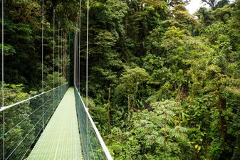 La Fortuna Hanging Bridge Rainforest in Costa Rica