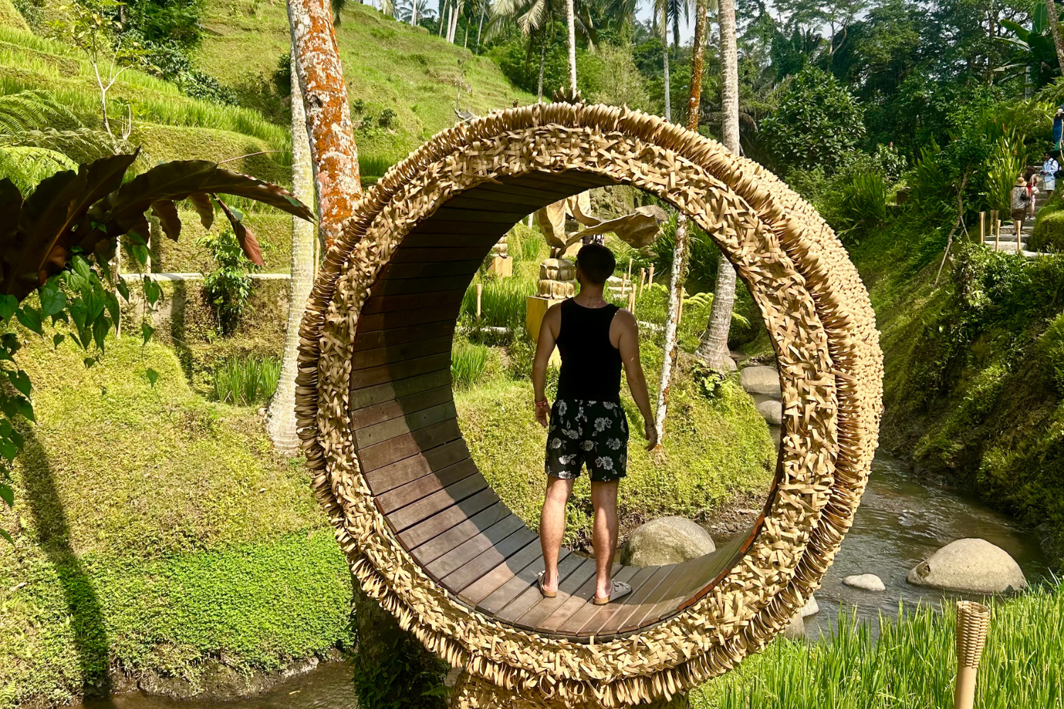 Traveller standing in wooden oval in Tegallalong Rice Terrace in Bali