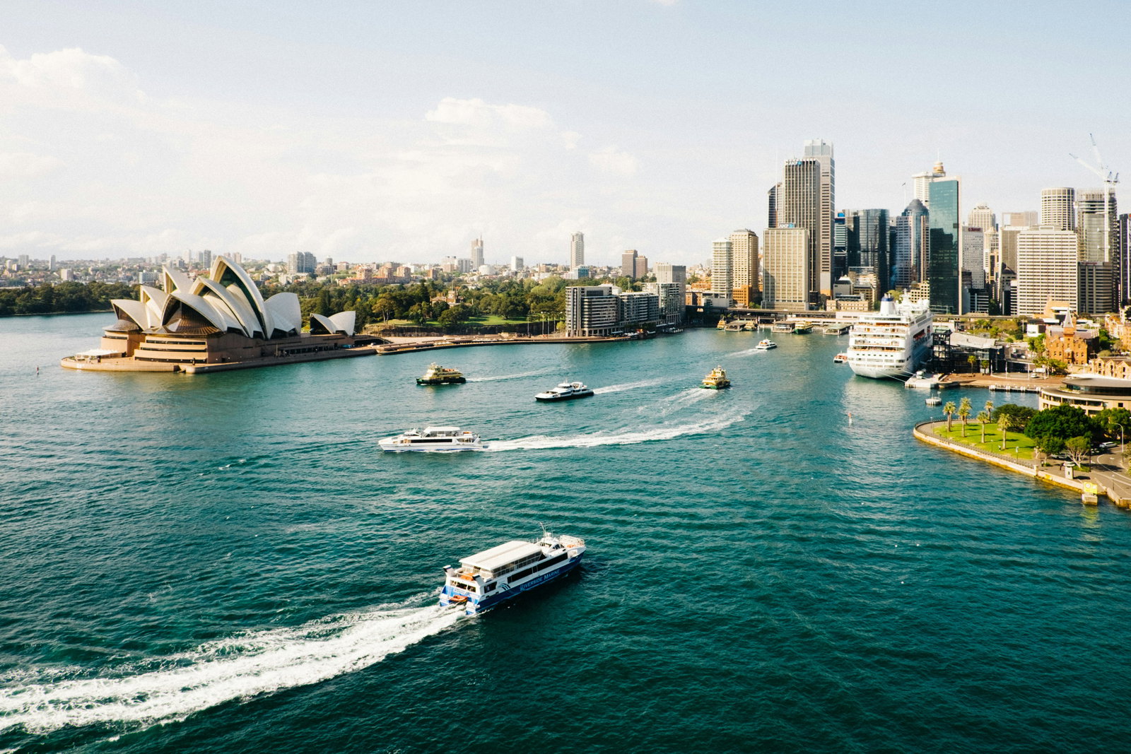 Picture overlooking Sydney Harbour 
