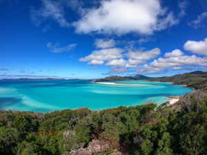 Green trees near blue body of water