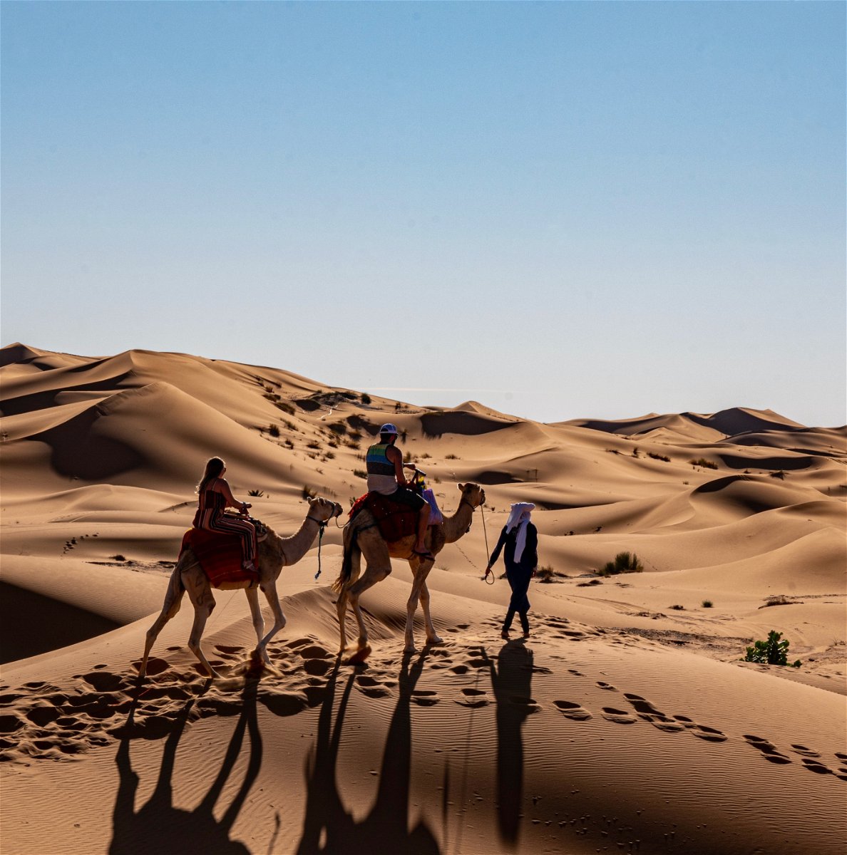 Camel riding in Sahara desert in morocco