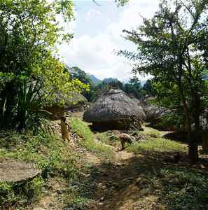 A dirt path and traditional Kogi huts in Colombia