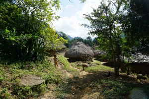A dirt path and traditional Kogi huts in Colombia
