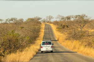 Van in Kruger National Park, South Africa