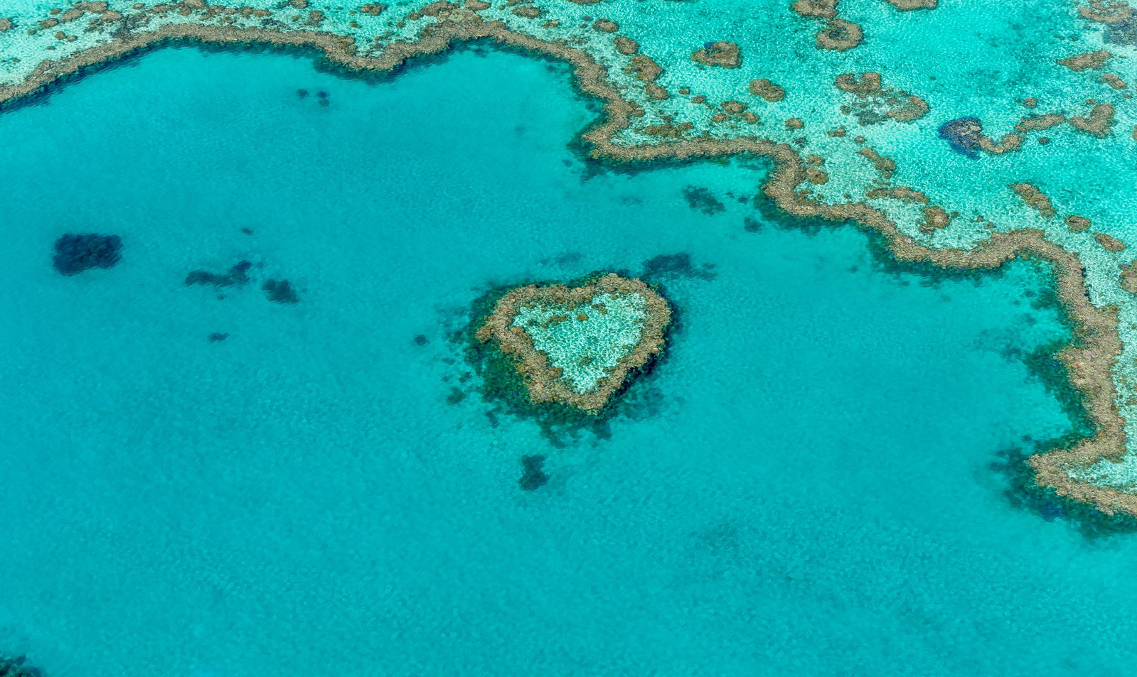 Birds eye view of Heart Reef in Whitsunday Islands, Australia
