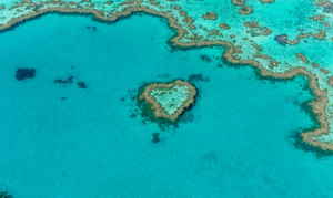 Birds eye view of Heart Reef in Whitsunday Islands, Australia