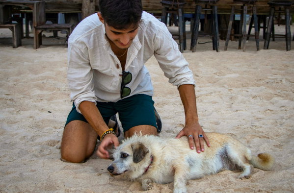 Wildlife / Conservation Tours