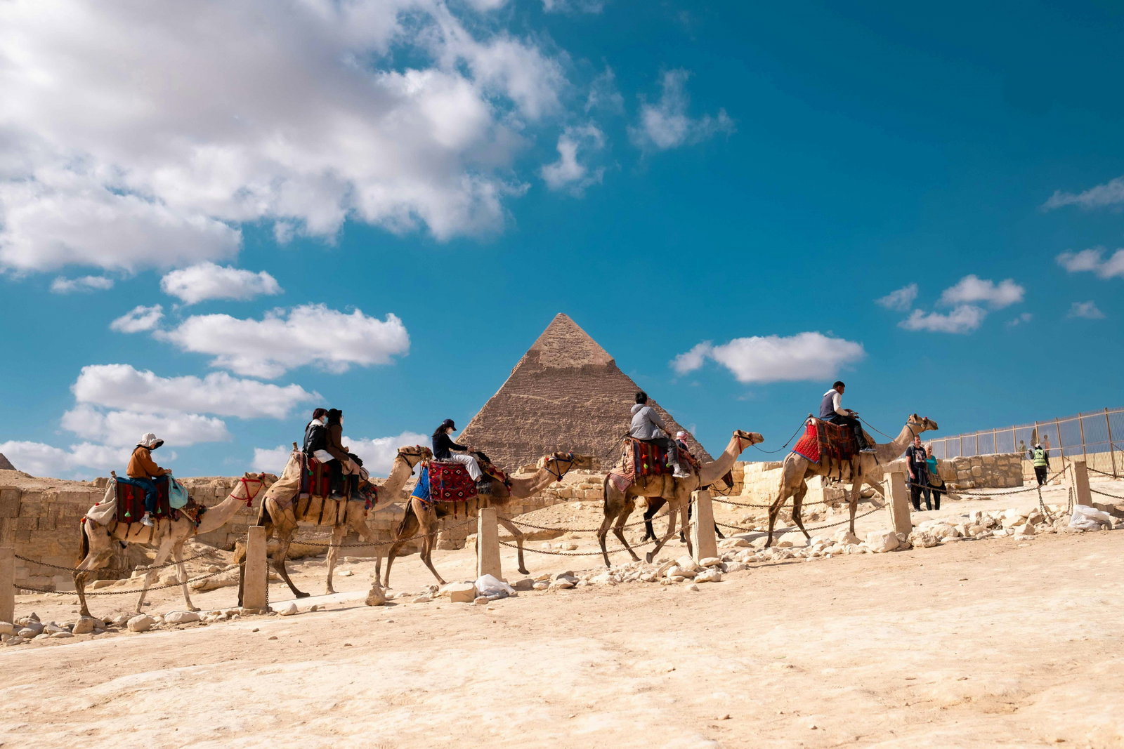 The Pyramid of Giza Egypt Camels