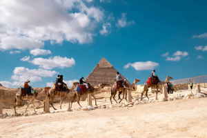 The Pyramid of Giza Egypt Camels