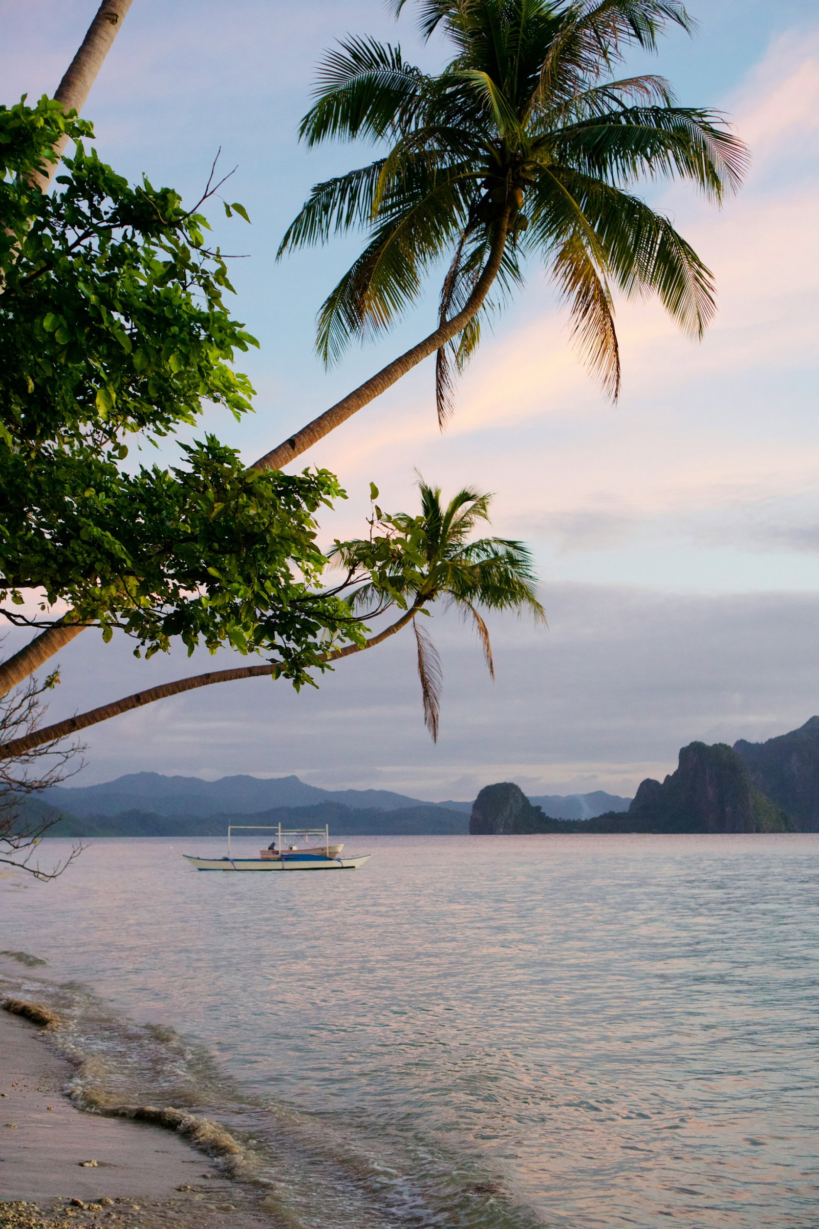 Secluded beach with palm trees and still waters with a boat, light blue skies with pink sunset clouds, Philippines