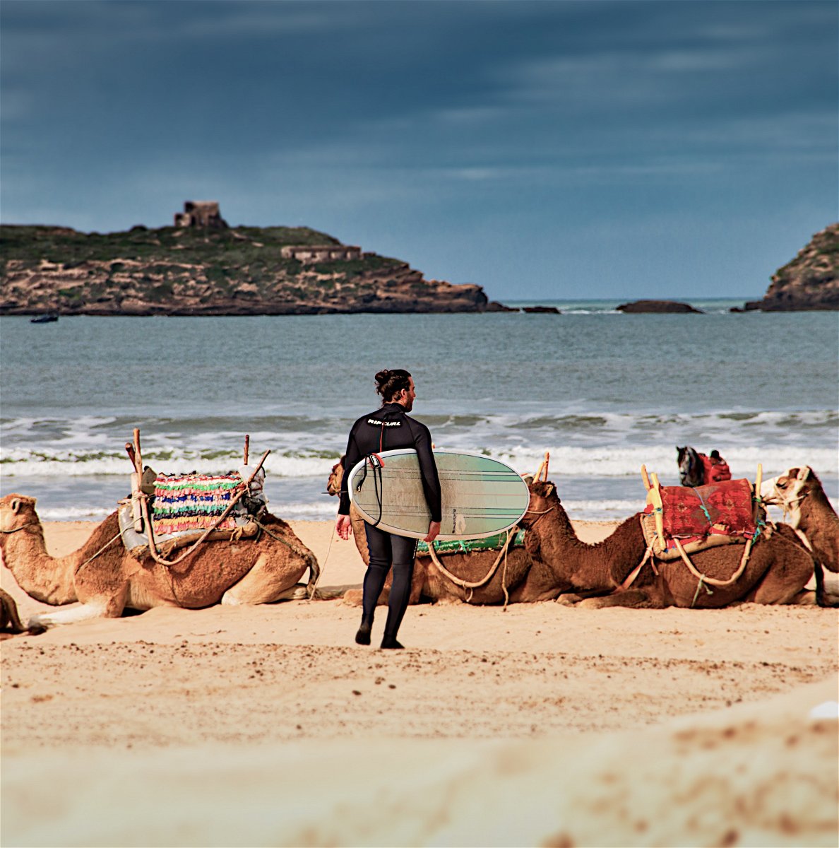 man walking on beach with camels