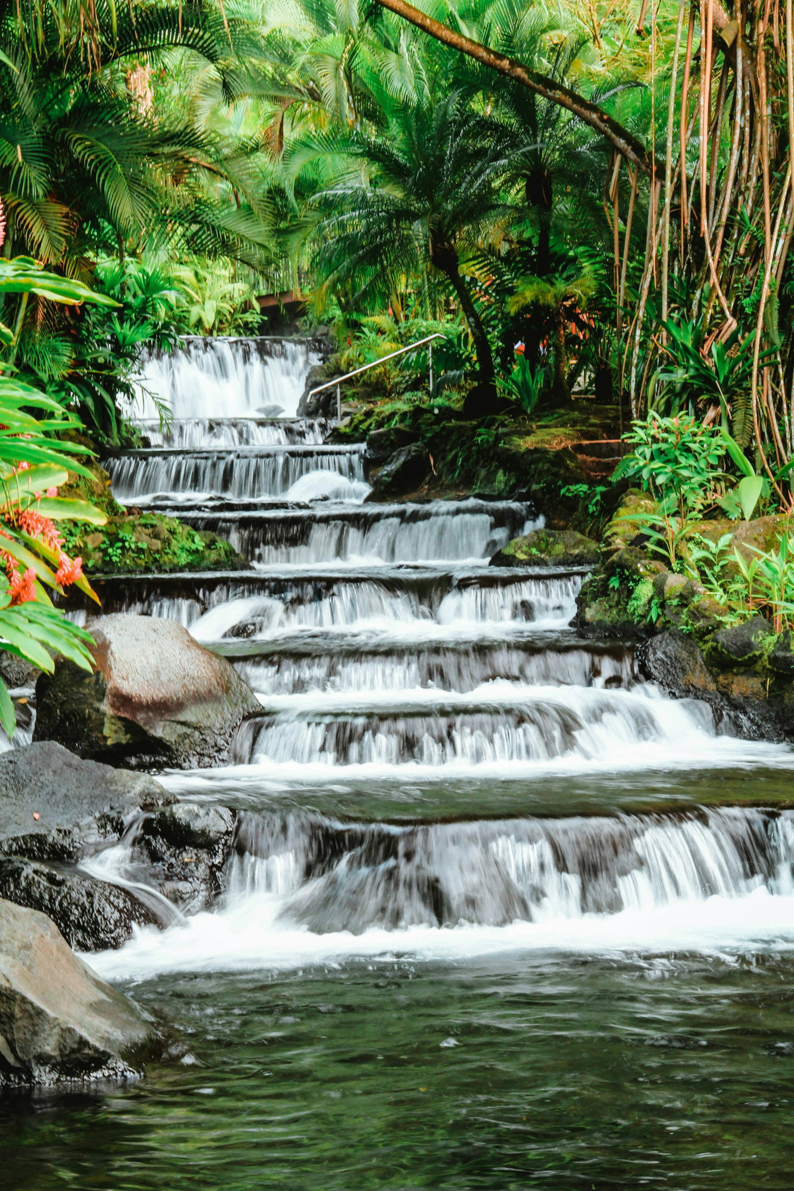Cascading dark waterfall surrounded by lush tropical wildlife and mossy rocks