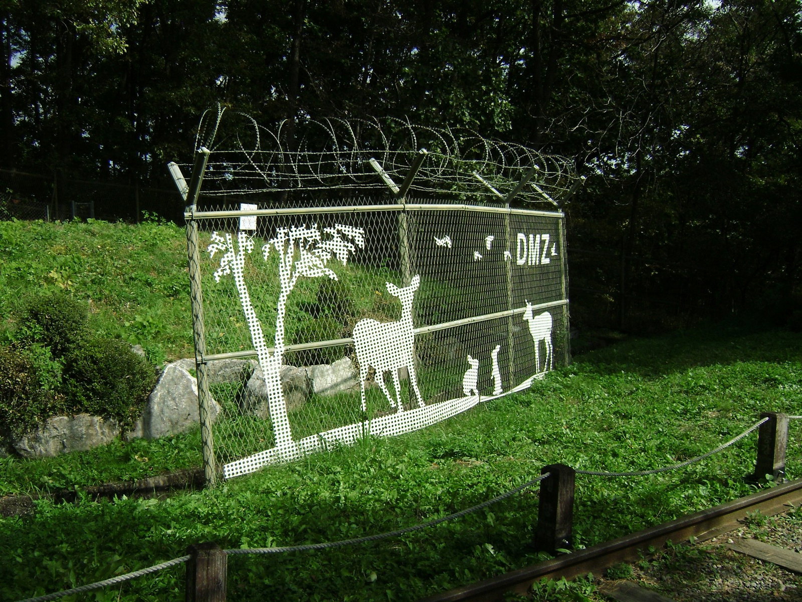 Green hills with small barbed wire fence with animal cut-outs and the words 'DMZ'