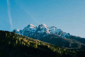 Snow-capped mountains surrounded by tall forests in Austrian Alps