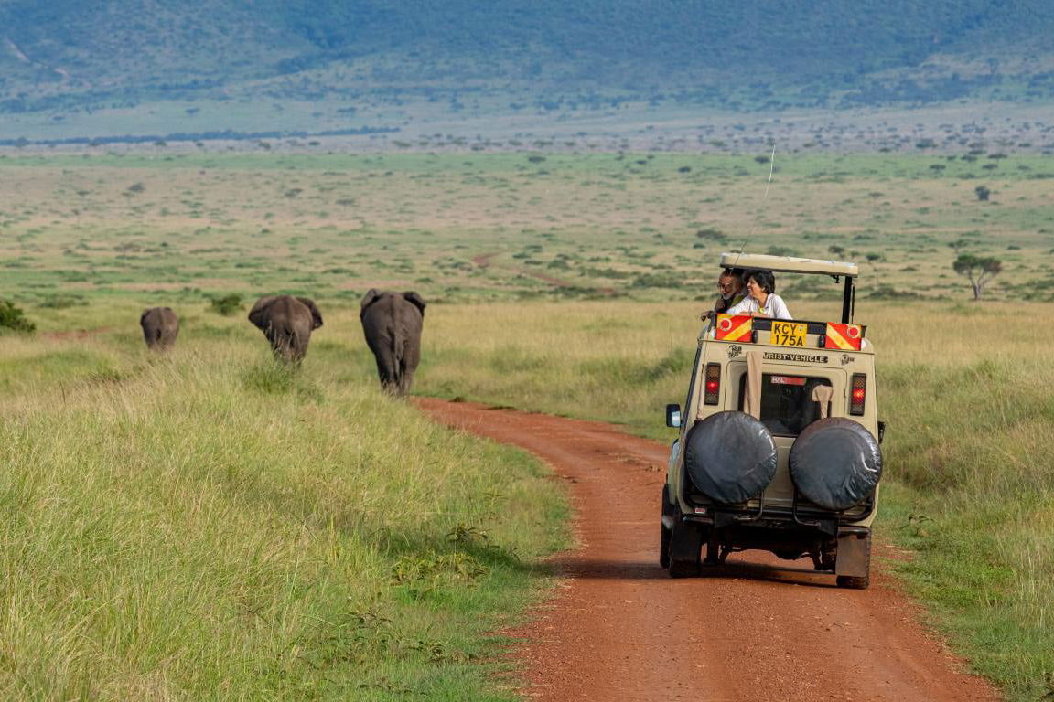 Safari vehicle following elephants along dirt track in the Maasai Mara