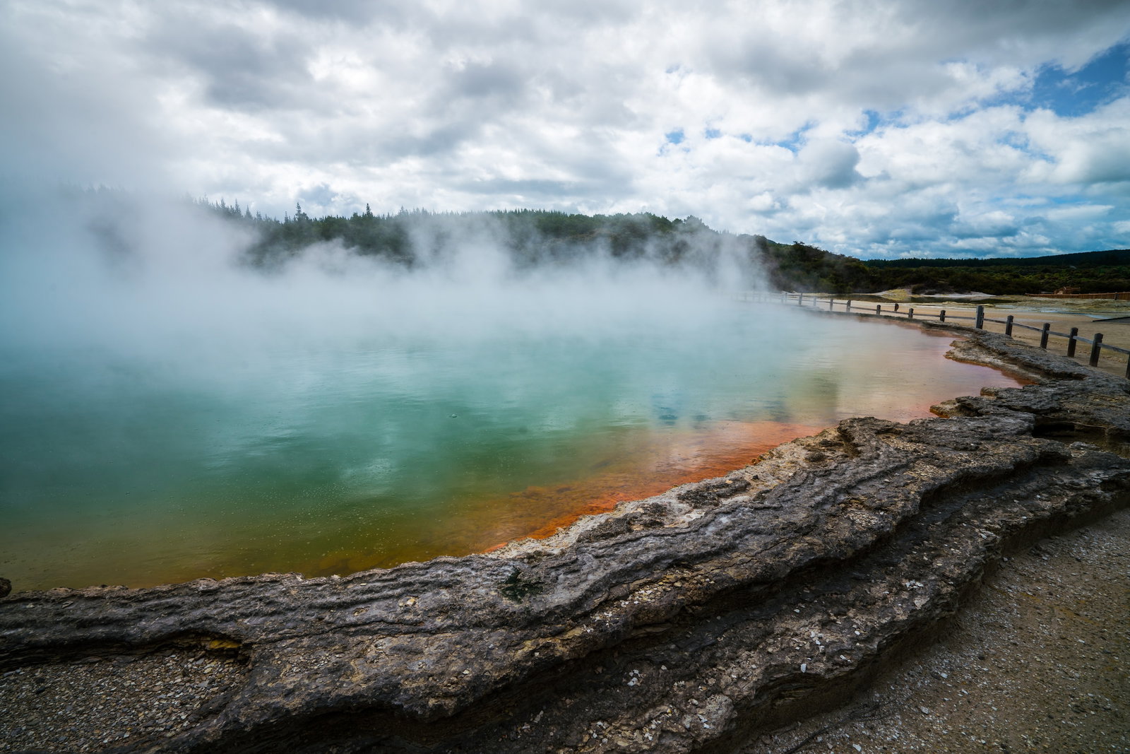 Steam rising from a geothermal lake in Rotorua, New Zealand