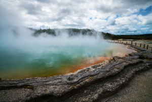 Steam rising from a geothermal lake in Rotorua, New Zealand